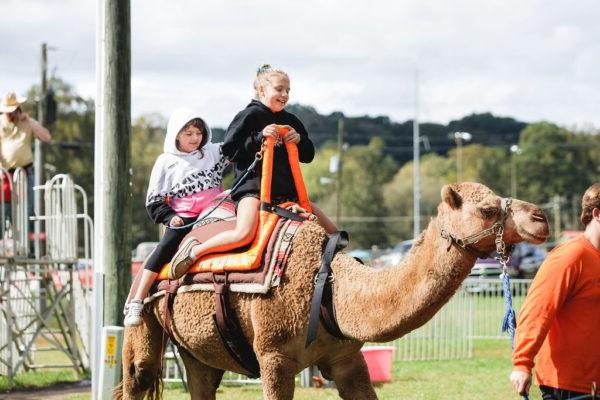 a child rides a camel