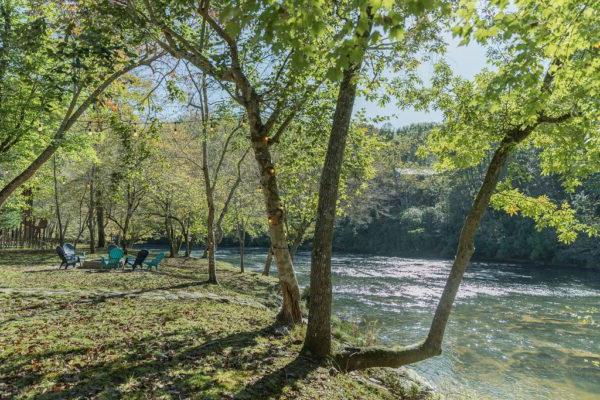 a river and trees with changing leaves